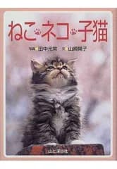 ねこ・ネコ・子猫