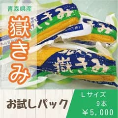 青森県産嶽きみ 真空パック  Lサイズ９本 産地直送 岩木山麓 だけきみ 全国送料無料
