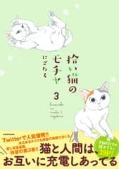 拾い猫のモチャ ３/ＫＡＤＯＫＡＷＡ/にごたろ（単行本）