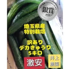 5キロ弱！リピーター多数！デカきゅうり！　野菜ソムリエサミット銀賞受賞　農家直送　減農薬　有機肥料　訳あり 5kg 5ｷﾛ