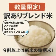 訳あり！新米にアメリカ産が少し混ざったブレンド米 10キロ（5キロ×2袋）　コスパ抜群