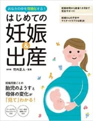 おなかの中を可視化する！はじめての妊娠＆出産   /大泉書店/竹内正人（単行本）