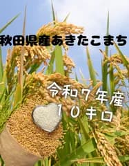 沖縄県以外送料無料　令和７年産あきたこまち１０キロ秋田県産