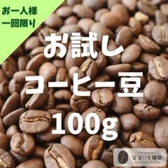 ランダムお試しコーヒー100g 自家焙煎　コーヒー豆　　お一人様　有機栽培