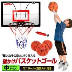KaRaDaStyle 壁掛け バスケットゴール 中サイズ/30×45cm 室内 ドア掛け 家庭 子供 バスケ シュート練習 ミニバスケットボード おもちゃ ボール3個付き 空気入れセット