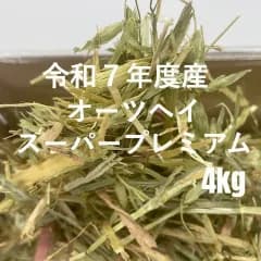【プロ厳選】うさぎ牧草　令和7年度産オーツヘイスーパープレミアム  オーストラリア産　４㎏入り