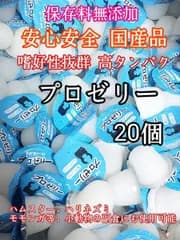 嗜好性抜群 国産 昆虫ゼリー 高タンパク プロゼリー16g 20個 クワガタ カブトムシ 小動物 ハムスター モモンガ ハリネズミ KBファーム