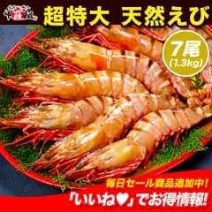 🦐圧倒的な食べ応え🦐 超特大 天然有頭えび シータイガー 業務用 1.3kg×7尾（1尾185g前後/約28cm）ebi えび エビ 海老 エビフライ えびフライ えびふらい 海老フライ グルメ 贈り物 プレゼント お祝い 天然 BBQ bbq