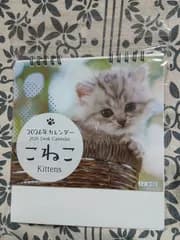 本日限り❕卓上子猫カレンダー