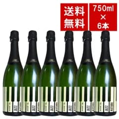 【送料無料 6本セット】ジャズ ナトゥーレ レセルバ カバ (カステル サント アントーニ) ブリュット ナチュール 泡 スパークリング ワインセット【クール便にて配送】