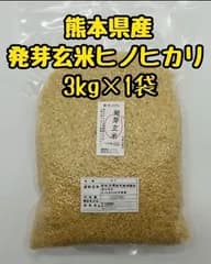 熊本県産　令和7年新米100%　発芽前玄米　3kg ヒノヒカリ　れんげ