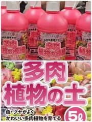 多肉植物の土と多肉植物の液肥　5月末までに発送します。