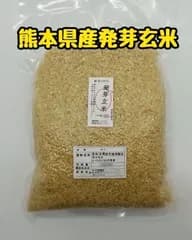 熊本県産 令和7年新米100% 発芽前玄米 2kg ヒノヒカリ