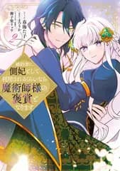 婚約者に側妃として利用されるくらいなら魔術師様の褒賞となります　2巻 (ZERO-SUMコミックス)