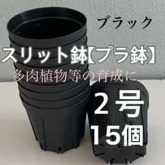 【スリット鉢２号】直径6㎝★KANEYA★15個セット★黒★　実生　育苗に❣️