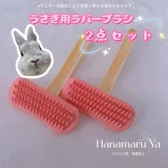 小動物用ラバーブラシ うさぎ・モルモット用 抜け毛取りブラシ 柔らか素材 肌にやさしいグルーミング用品 抜け毛取り グルーミング ラバーブラシ ペット用ブラシ 柔らかい 肌にやさしい ケア用品 ラバーコーム