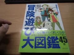 冒険遊び大図鑑―元気と勇気がわいてくる！