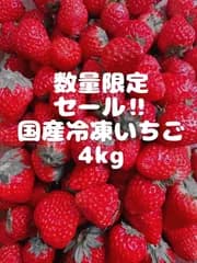 数量限定セール‼️4kg‼️送料込み‼️国産冷凍　苺　いちご　イチゴ　🍓