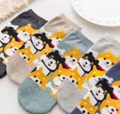 靴下 レディース 5足セット フリーサイズ 柴犬 ソックス セット 可愛い 犬 いぬ くつした 女の子 くつ下 靴した しば犬 シバ犬