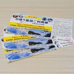 ネコポス発送！藤田観光株主優待（箱根小涌園ユネッサン、下田海中水族館　無料入場券）3枚　2026年9月30日迄
