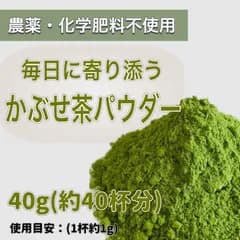 【2025年収穫】溶かすだけ簡単パウダータイプ深蒸しかぶせ茶powder40g(約40杯分)