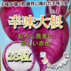 家庭菜園 とうがらし 種 赤いからいね 伝統野菜 28粒 初心者向け