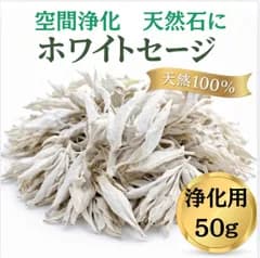 【浄化用】ホワイトセージ 50g 枝付き クラスター カリフォルニア産 天然100% お香