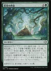 【中古】マジックザギャザリング 0197[C]：【ECL】若芽の世話/Tend the Sprigs