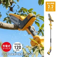 高枝チェーンソー 1.6～2.2ｍ 2段式 無段階伸縮 18V 充電式 コードレス 高枝切り チェーンソー 電動 ノコギリ