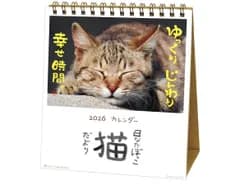 猫カレンダー　アクティブコーポレーション 2026 カレンダー 卓上 日なたぼっこ猫だより 26ACL-539 2026年 1月始まり