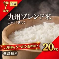 【九州産ブレンド】心米RICE 20kg｜コスパと味で選ばれる｜毎日のごはんにちょうどいいお米｜食卓に笑顔を届けるブレンド米｜家計応援｜コスパ米｜7年産入り