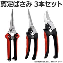 剪定ばさみ 3本セット ガーデニング ハサミ 枝切り 園芸はさみ ステンレス 園芸用 植物 切りやすい 庭 手入れ 家庭菜園 枝切はさみ 剪定を簡単にする切れ味と耐久性 お庭の裁断や剪定などに最適 人間工学設計+安全ロック 手首の負担を軽減 時短 効率アップ