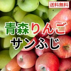 青森県産りんご ふじ 加工用 10kg 送料無料 産地直送