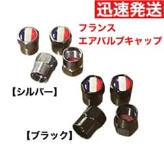 エアバルブキャップ 【フランス】プジョー 308 シトロエン C3 ルノー メガーヌ DS DS3 アルピーヌ A110 ブガッティシロン トリコロール カングー KANGOO