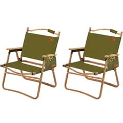 新品 DesertFox アウトドア チェア キャンプ チェア 軽量 2個セット 折りたたみ 椅子 【耐荷重150kg】 四季適用 コンパクト軽量 携帯便利 イス ピクニック キャンプ用 DY001 (みどり，スタイルA)