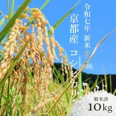 京都府産 お米 コシヒカリ 【精米済 10kg】