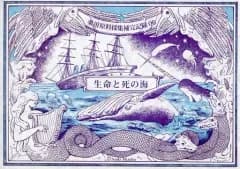 【中古】男性向一般同人誌 ≪評論・考察・解説系≫ 薬用原料採集補完記録 06 生命と死の海 / 荒木瑞穂 / 医療系雑貨生みたて卵屋