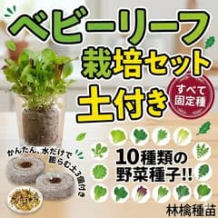 【固定種】ベビーリーフ 栽培セット 種10種＆水で膨らむ土3個【解説付】🌱
