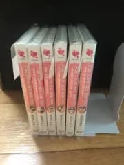 流砂記 花嫁のピーチもいられない事情 小説 コレクション用 1-6巻