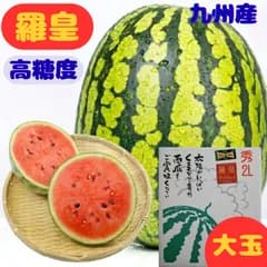 高糖度すいか 羅皇ザ・スウィート 大玉 2L 九州産 送料無料 秀品 スイカ 西瓜