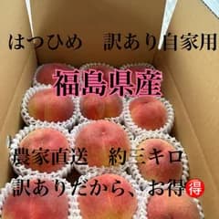 訳ありでお得　甘い桃約三キロ箱