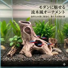 水槽 オブジェ 陶器製 流木 切り株 隠れ家 オーナメント アクアリウム 水槽装飾 トンネル シェルター 魚 観賞魚 熱帯魚 メダカ 金魚 エビ シュリンプ 爬虫類 両生類 テラリウム インテリア レイアウト ザリガニ コケ は虫類 おしゃれ 安全 置物