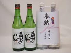 奉納用２本縛り感謝の念を込めセット 福島県産日本酒お酒セット(奥の松酒造 特別純米 720ml×2本)