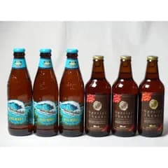 クラフトビールパーティ6本セット IPA感謝ビール330ml×3本  ビッグウェーブ・ゴールデンエール355ml×3本