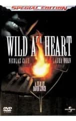 DVD／ワイルド・アット・ハート スペシャル・エディション