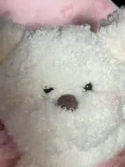中型犬のぬいぐるみ