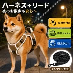 犬用ハーネス リードセット 抜けない 中型犬 小型犬 引っ張り防止 胴輪 散歩 反射材 メッシュ サイズ調整可 カーキ S M