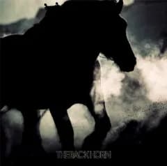 (CD)暁のファンファーレ【初回限定盤】／THE BACK HORN