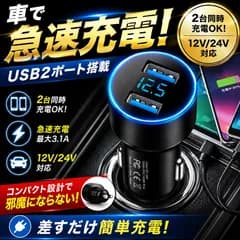 シガーソケット 車用 USB充電器 2ポート 同時急速充電 12V/24V対応 コンパクト設計 スマホ タブレット iPhone Android 車載アクセサリー