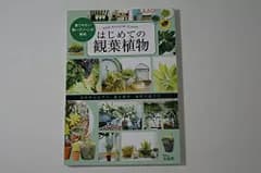 はじめての観葉植物/宝島社■d8459-10013-B-02-2